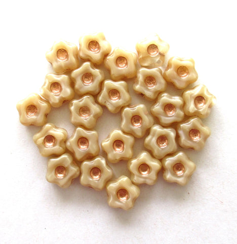 Czech glass flower beads - 11mm - silky cream / off white / beige flower or star beads with copper accents - 15 pieces - C00831