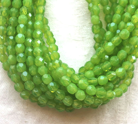 Lot of 50 4mm Czech glass beads - milky dark peridot green - fire polished faceted round glass beads - C0015