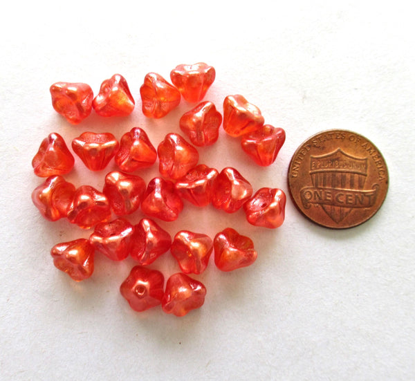 25 Czech glass bell flower beads - hyacinth orange luster pressed glass bellflower beads - 8 x 6mm - C0099